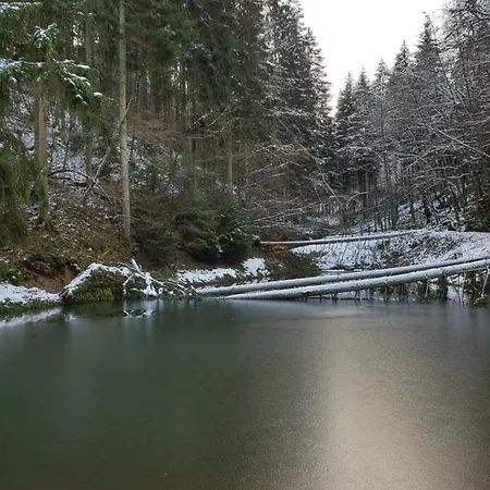 Ferienhaus Johann Mürlenbach Buitenkant foto
