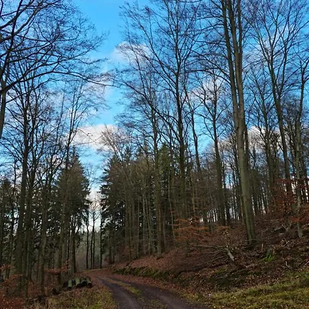 Ferienhaus Johann Mürlenbach Buitenkant foto